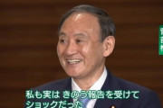 【悲報】菅総理、めっちゃニコニコ笑いながら「ショックだった」と言い始める