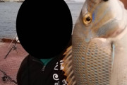 【画像】突然ですまんがワイが日曜に釣ったお魚ちゃんを見てくれ
