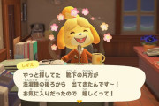 『あつ森』住民の会話パターンをもっと増やして欲しい