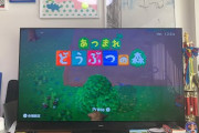 【速報】サバンナ高橋さん、YouTubeでゲーム実況を始める