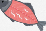魚食ってる時にアニサキスに遭遇したことある奴おる？