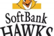 福岡ソフトバンクホークスの弱点ってなんかある？