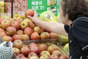 韓国・ソウルのリンゴとバナナ価格“世界1位”…ジャガイモ・トマトはアジア1位 ［9/17］