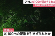 新聞配達員がクマに襲われ死亡した北海道福島町、新たなヒグマの痕跡が見つかる