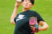 【悲報】日本ハム姫野外野手(24)、投手転向