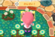 【ポケ森】HHAのためだけに花の交配し始めたんだけど渋すぎてぇ～泣けるぅ～【どうぶつの森 まとめ】