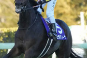 【有馬記念】女王ジェラルディーナ意地の3着死守