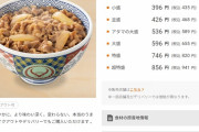 【悲報】牛丼、昔は290円で食べれたｗｗｗｗｗｗｗｗｗ