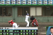 プロ野球ニュース解説者アンケート、根尾は一軍に定着して活躍できるか？