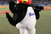 【野球】「つば九郎」が特別すぎたからこそ難しい“今後の判断”　稀代のマスコットが残した功績