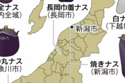 新潟県はナス＆枝豆の作付け面積が全国１位！新潟の夏の味わいを語るアルビレックス新潟スレ