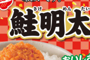 【朗報】ご飯のお供界のNo.1、ついに決まる