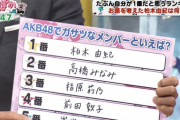 【悲報】AKB48現役メンバーの知名度が全くない