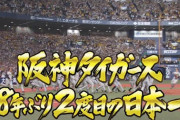 阪神、日本シリーズ最終戦を制し38年ぶり2度目の日本一