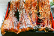 【悲報】ウナギ、遂に絶滅寸前…そろそろ食べれなくなる模様…