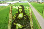 外国人「日本の田んぼアートが素晴らしい、どうやってるんだ？」