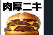 【悲報】マクドナルド、なんJに媚びる