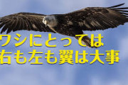 「政治的な物が何も分からない人に『左翼』を説明してください」　どうする？？？？
