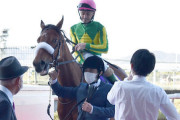 桜花賞２着サトノレイナスは日本ダービーへ　国枝師「牡馬相手でもいけるかなと」