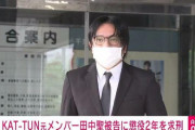 田中聖さん、懲役2年を求刑される