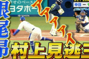 白井審判「最も声が大きい」とNPBに奨励賞で表彰されてしまうｗｗｗｗ