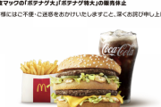 【悲報】マクドナルド、ポテトのMとL販売中止。終わりだよこの国