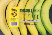 【朗報】韓国のスーパー、天才的なバナナの売り方を発明！