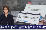 【韓国記事】韓国の積極的検査 外信には好評 ... 日本だけ "非難の声"【医療崩壊】