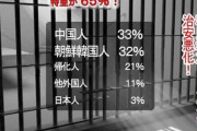 【悲報】韓国人「日本の犯罪者の97%が外国人？」日本人犯罪者の割合が３％しかいないのは本当ですか？‥ﾌﾞﾙﾌﾞﾙ　韓国の反応