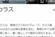 なんでカラスの死体って見つからないんや？？