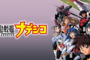ワイ「機動戦艦ナデシコがさぁ！ルリルリがさぁ！」敵「おっちゃんやんw」ワイ「…」