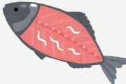 釣った魚にアニサキスってどれくらいの確率で居るもんなの？