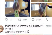 ウマ娘オタクミリオンPさん、牧場にクソリプ