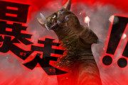 【ウルトラ怪獣モンスターファーム】ゲキリンについて
