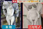 【悲報】日本人さん、ウキウキで「猫リュック」買うもとんでもない偽物が届いてしまうｗｗｗｗｗｗ