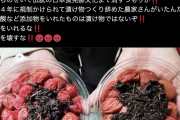 「添加物入りの梅干しは嫌」エヴァ声優の漬け物製法巡る投稿が「完全なデマ」と波紋