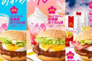 【悲報】　マクドナルド「卵ねンだわ・・・」　卵不足で「てりたま」を一部休止