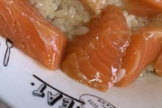 【画像】ワイ特製のサーモン丼作ったから評価してwwwww