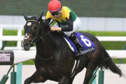 第63回 宝塚記念（GI）タイトルホルダーがレコードで制す