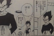 【ドラゴンボール】ベジータと悟飯の関係ｗｗｗｗｗｗｗｗｗｗｗｗｗｗ
