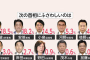 毎日の願望をアンケートにすな！　～　「次の首相は？」石破1位19% 毎日新聞世論調査