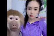 【動画】美顔フィルターで綺麗になった飼い主に驚くサルのリアクションが最高すぎると話題にｗｗｗｗｗｗ