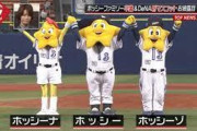 昔の横浜ベイスターズにヒトデのマスコットおったよな