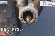 【鹿児島】小学校の給水パイプがつまり中を調べると・・