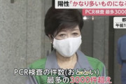 【コロナ】東京の感染者が過去最多224人、全国では334人に
