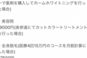 【悲報】男「普通の女の子が好き！」女「こちらが『普通の女の子』を維持するための見積もりです」ﾄﾞﾝｯ