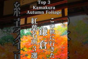 鎌倉の紅葉3名所を紹介　円覚寺・長寿寺・長谷寺と江ノ電の秋景色に注目集まる参考動画