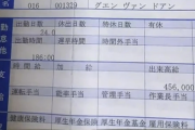【画像】グエンの給与明細が流出