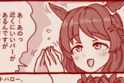 【ウマ娘】見えない何かが溢れ出してしまっいてるダスカ「流石なのよね…」