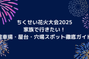 【茨城最大級】20,021発の衝撃！秋夜に咲く、音と光の祭典